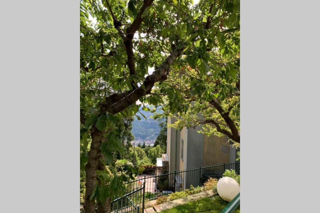 Апартаменты The Cherry Garden House Loft Lusso Брунате Экстерьер фото